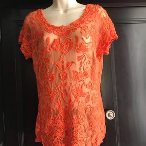 New Candella Orange Top sheer lace Tangerine, Sexy, club, party, cute, bright